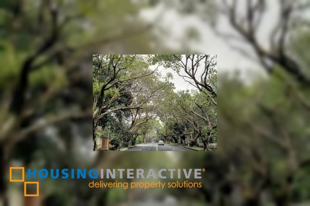 corner lot for sale in dasmarinas village