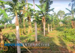 agricultural lot for sale in pantihan iv