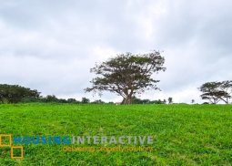 residential lot for sale in ayala greenfield estates