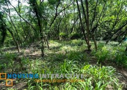 grand lot for sale in parkridge estate