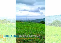 grand lot for sale in ayala greenfield estates