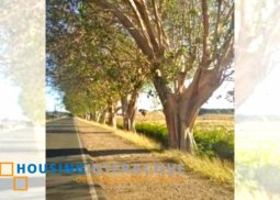 land for sale in calatagan