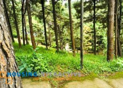 grand lot for sale in crosswinds luxury swiss resort