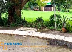 grand lot for sale in manila southwoods