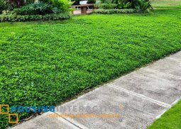 grand lot for sale in rockwell south at carmelray