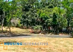 prime lot for sale in ayala alabang village