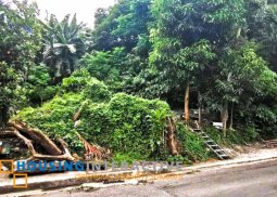 prime lot for sale in blue ridge a