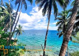 tropical 4-bedroom beach house for sale in mabini, batangas