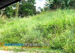 lot for sale in sun valley