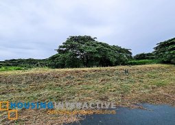 grand lot for sale in elaro