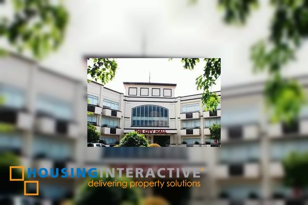 commercial lot for sale in valenzuela