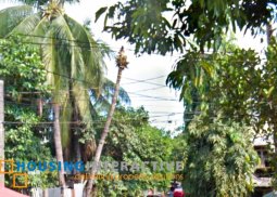 lot for sale in veterans village