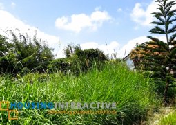 lot for sale in metrogate tagaytay estates