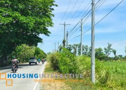 lot for sale in pura tarlac