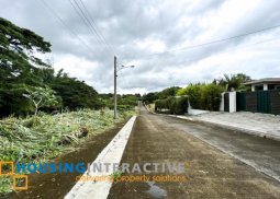 farm lot for sale in hacienda sta. monica