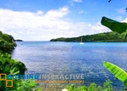 beach lot for sale in peninsula de punta fuego