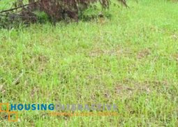 lot for sale in canyon woods georgetown