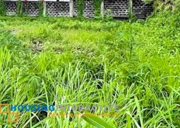 prime lot for sale in north greenhills