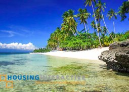 beach lot for sale in siquijor