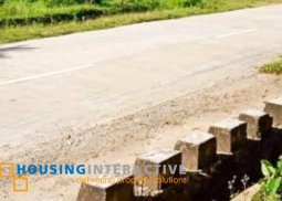vacant lot for sale in busuanga, palawan