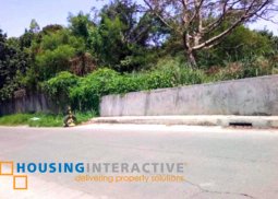 land for sale in sirang lupa, calamba