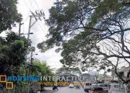 commercial lot for sale in mercedes avenue