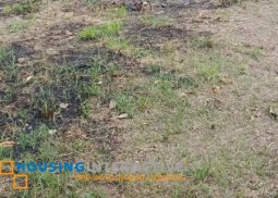 farm lot for sale in indang