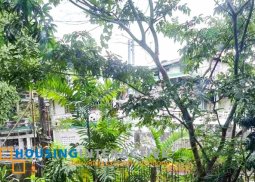 lot for sale in new manila