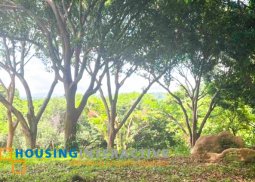 lot for sale in anvaya cove bataan