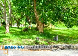 prime lot for sale in nasugbu