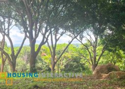 prime lot for sale in anvaya cliffside neighborhood