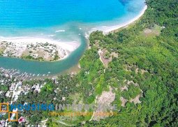beachfront for sale in san vincente, palawan