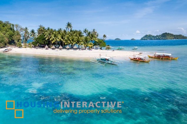 beachfront for sale in san vincente, palawan