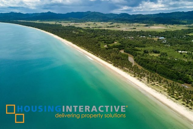 beachfront for sale in san vincente, palawan