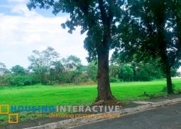 prime lot for sale in manila southwoods