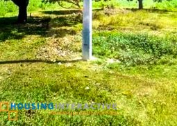 land for sale in gerona, pura, tarlac