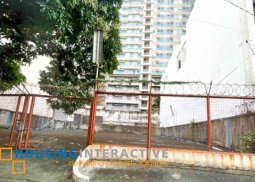 lot for sale in new manila