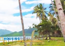 beach lot for sale in san vicente, palawan