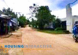 lot for sale in governor's row, coron, palawan