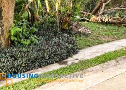 lot for sale in ayala westgrove heights