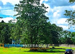 prime lot for sale in georgia club