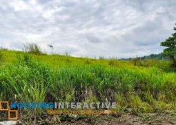 prime lot for sale in eastland heights