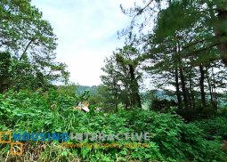 prime lot for sale in itogon