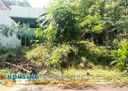 lot for sale in edgewood inarawan