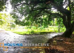 farm land for sale in calatagan