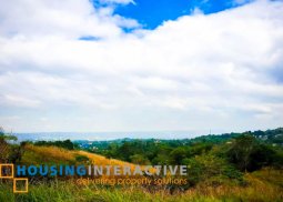 vacant lot for sale in the peak havila taytay