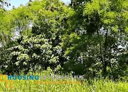 prime lot for sale in ayala greenfield estate