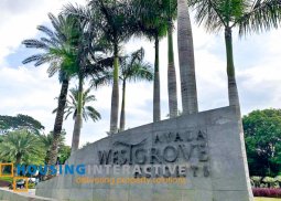 lot for sale in ayala westgrove heights