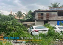 lot for sale in sikatuna village