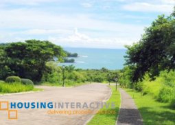 corner lot for sale in kawayan cove